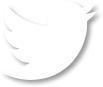 twitter_icon
